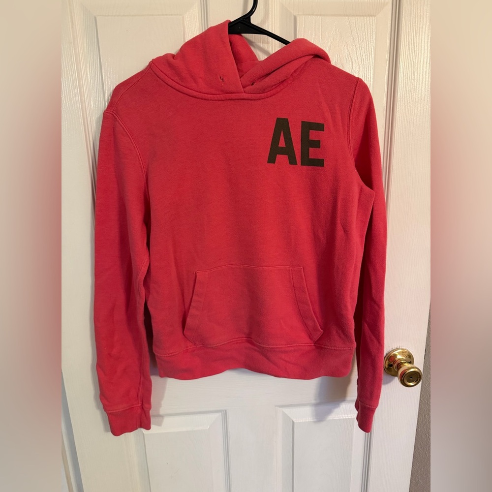 Vintage American Eagle Outfitters Women's Pink 1977 Hoodie